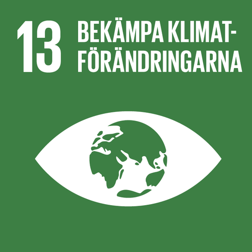 Globala målen 13 – Bekämpa klimatförändringarna